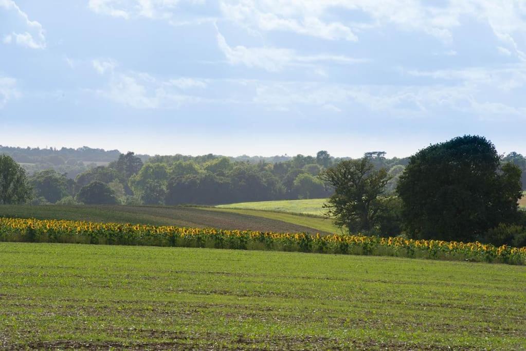 The Stables, Relax In 5 Star Style And Comfort With Lovely Walks All Around Maplestead Exteriér fotografie